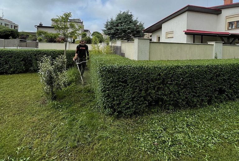 Stříhání a tvarování stromů a živých plotů